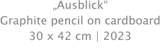 „Ausblick“ Graphite pencil on cardboard 30 x 42 cm | 2023